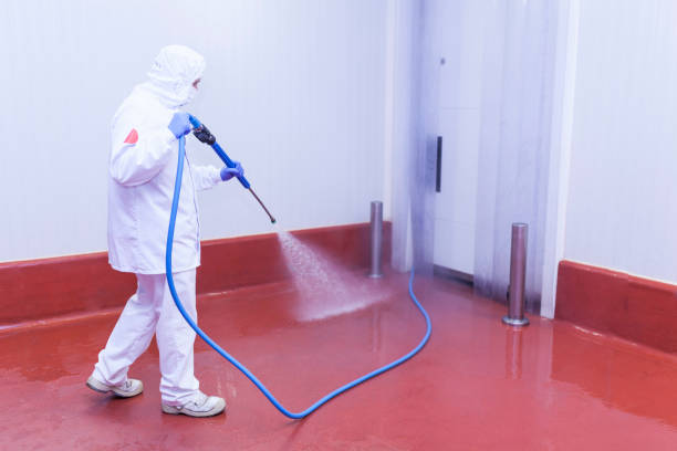 Best Heavy Equipment Washing  in Bowling Green, OH